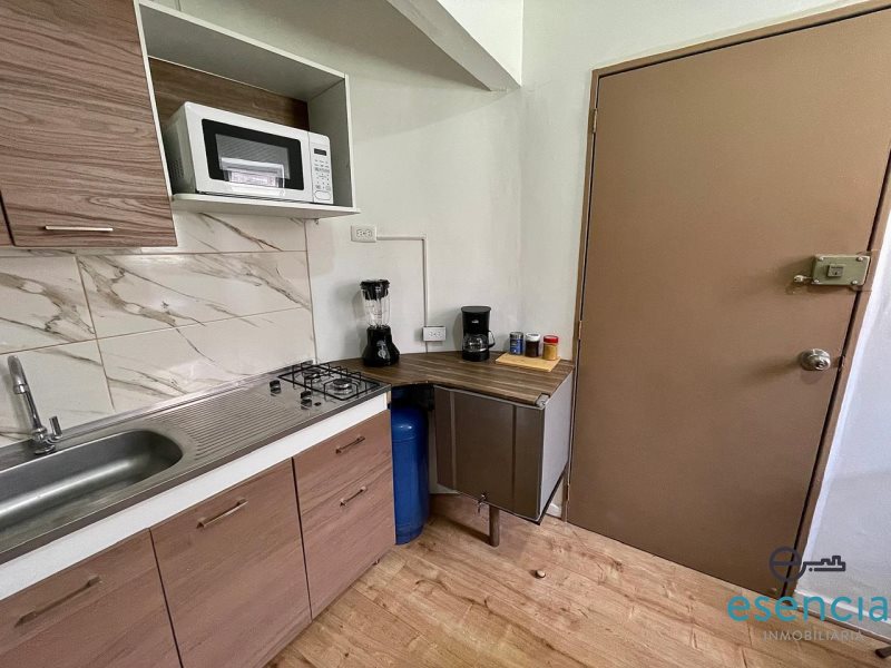 Apartaestudio en Arriendo en Parque