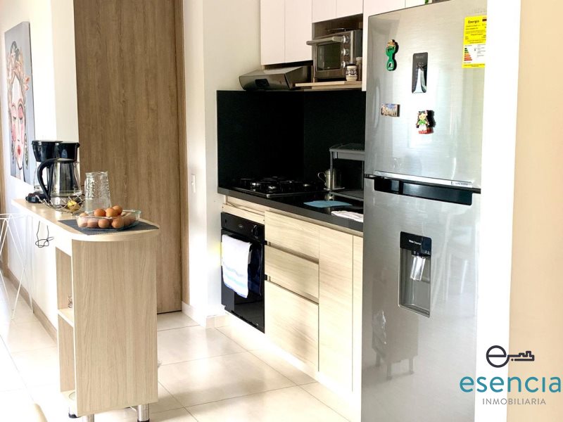 Apartamento en Arriendo en El Porvenir